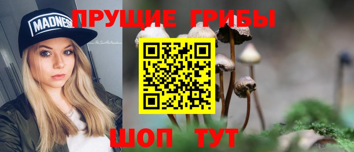 Галлюциногенные грибы Magic Shrooms  Вход с VPN  Партизанск 